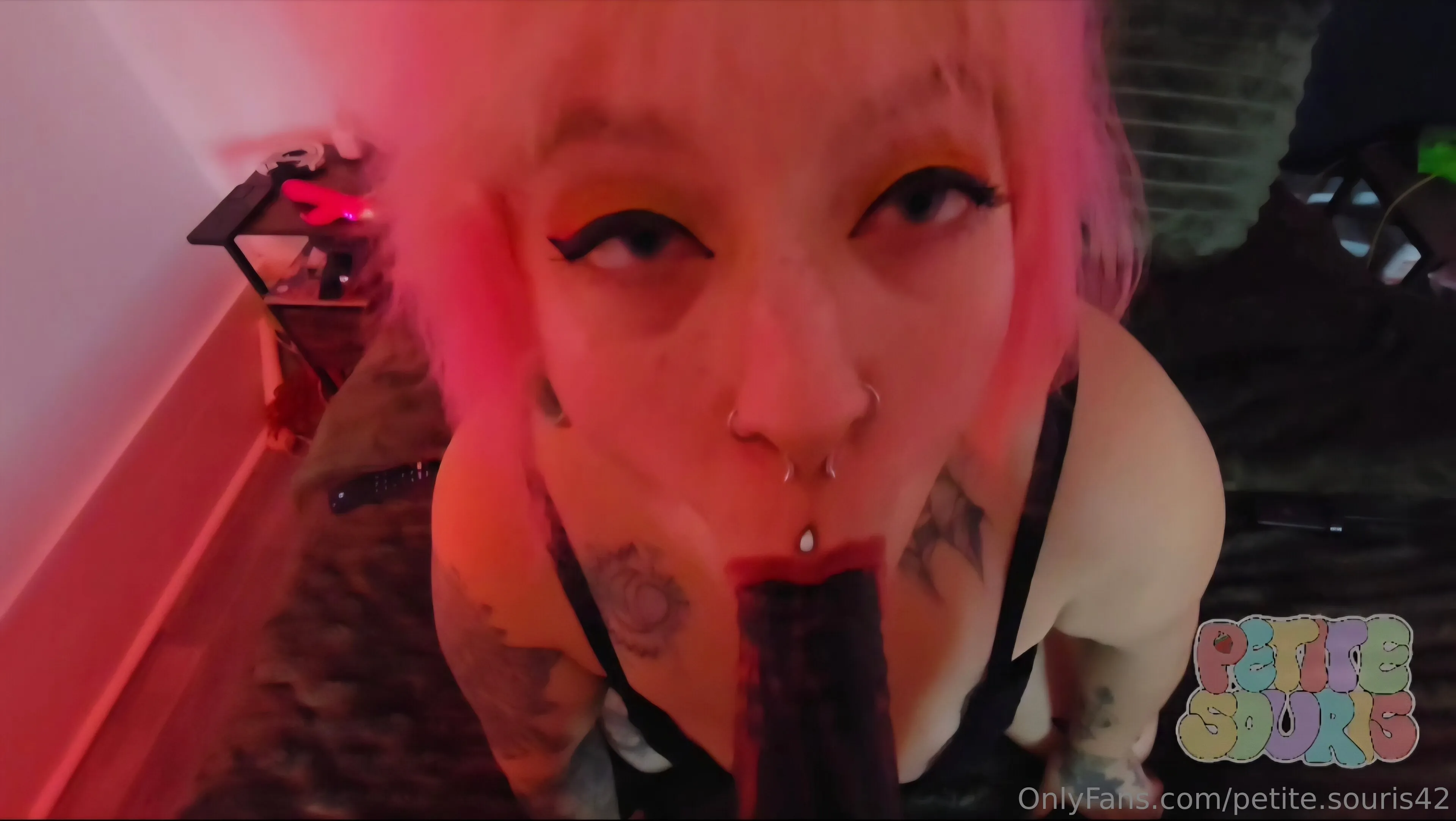 Little Mouse - FREE OnlyFans exclusive photo 2 - petite.souris42 premium content