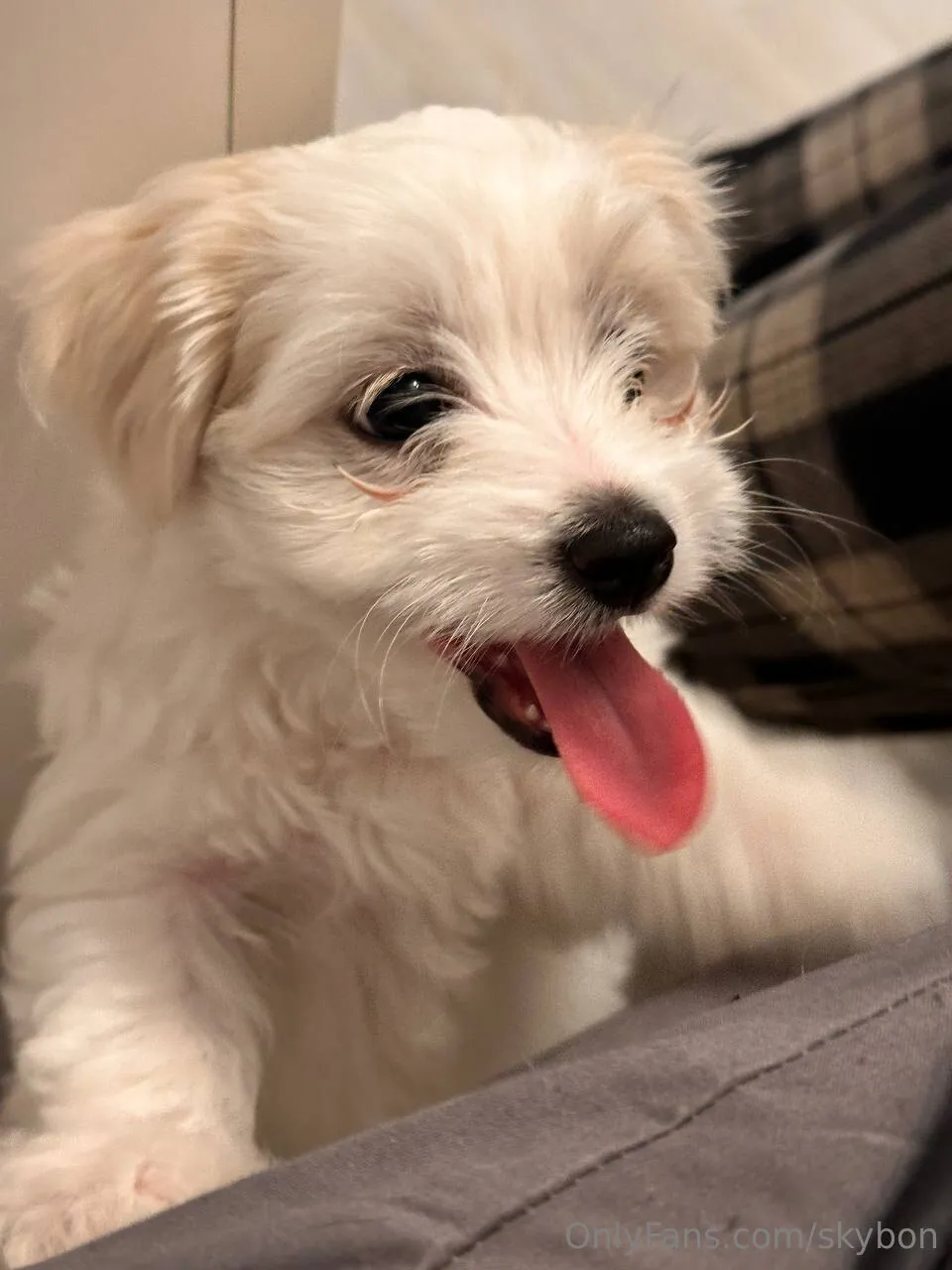 Angelina👼 OnlyFans exclusive photo 7 - skybon premium content
