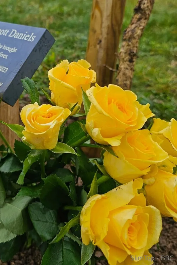 SlimTop - BBC OnlyFans exclusive photo 6 - slimtop-bbc premium content