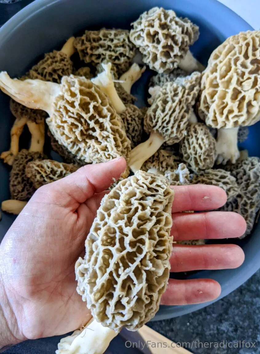 Ms. Andri OnlyFans exclusive photo 19 - sugar_baby108 premium content