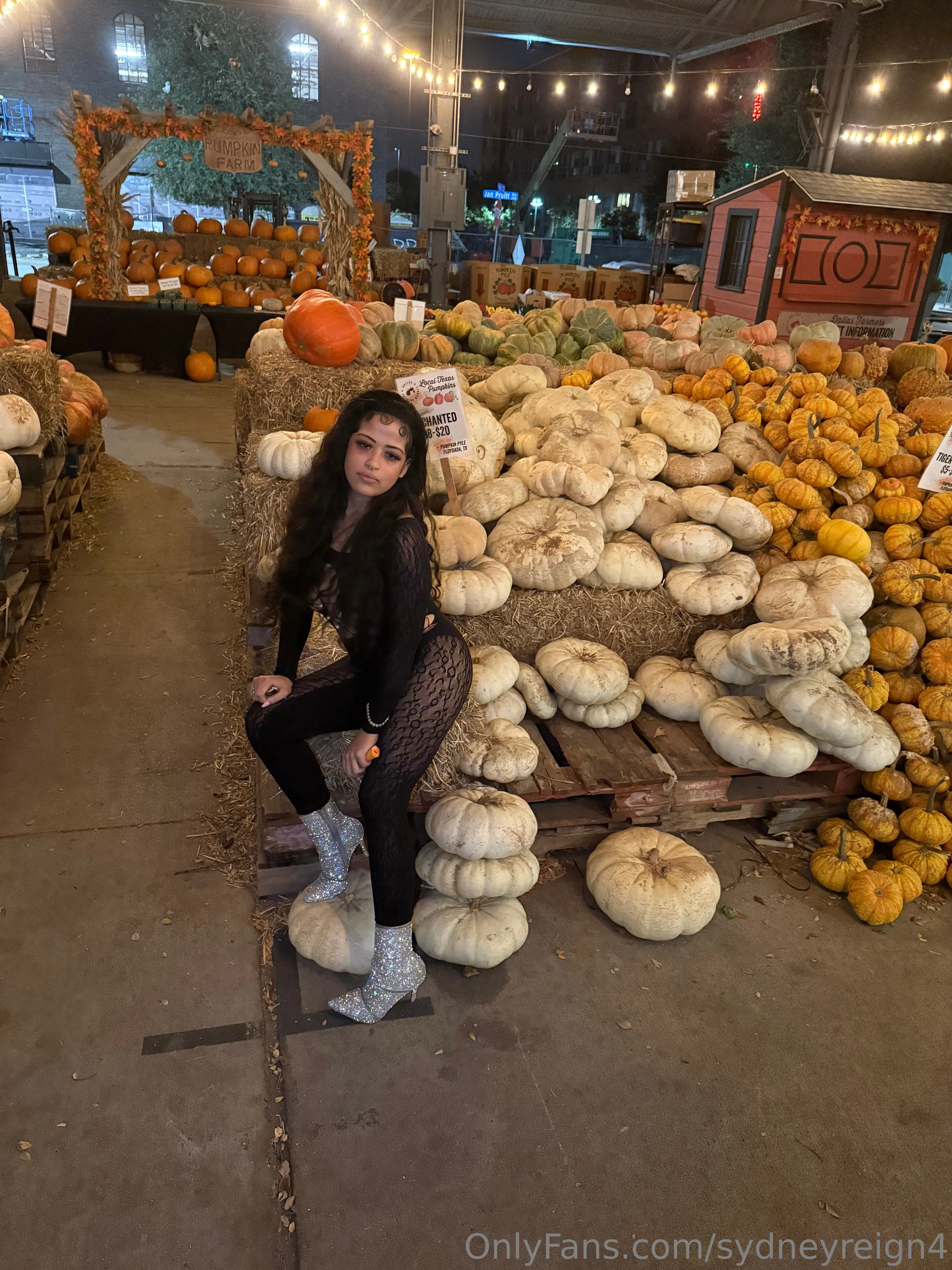 Sydney Reign OnlyFans exclusive photo 20 - sydneyreign4 premium content