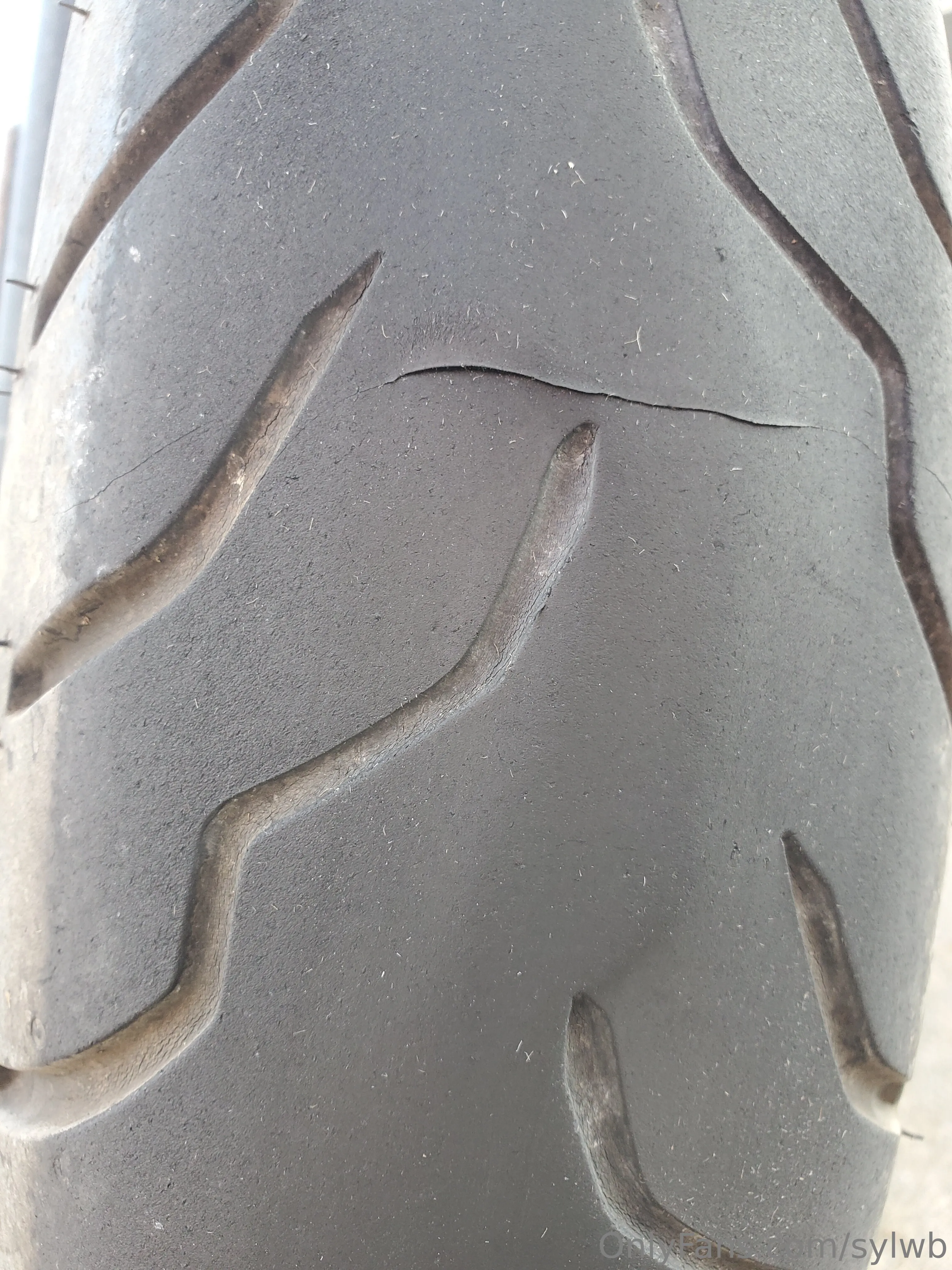 Blue collar OnlyFans exclusive photo 1 - sylwb premium content