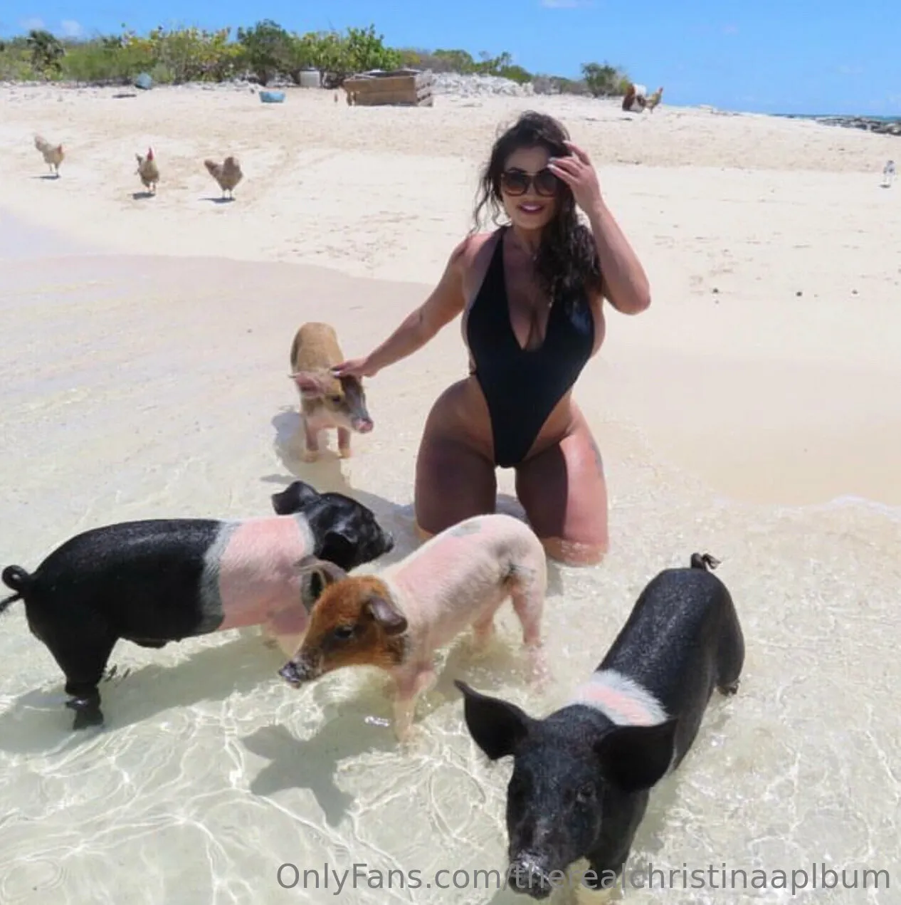 ChristinaAplbum OnlyFans exclusive photo 3 - therealchristinaaplbum premium content