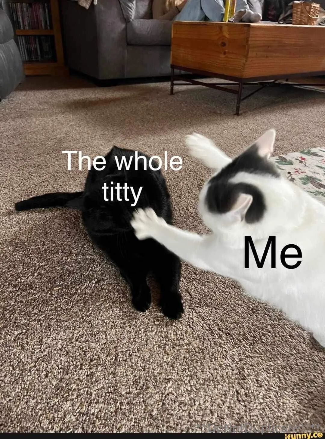 Thickachu OnlyFans exclusive photo 14 - thickachu premium content