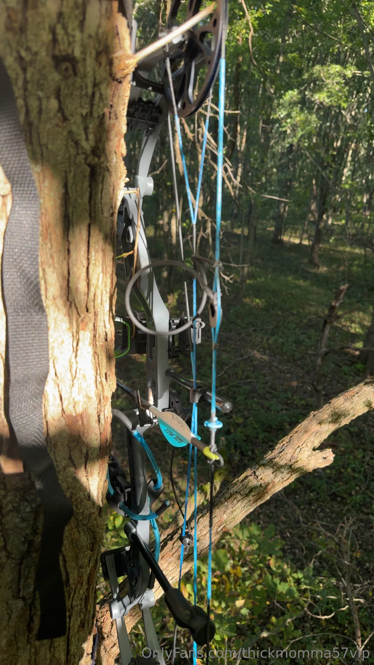 Liz OnlyFans exclusive photo 13 - thickmomma57 premium content