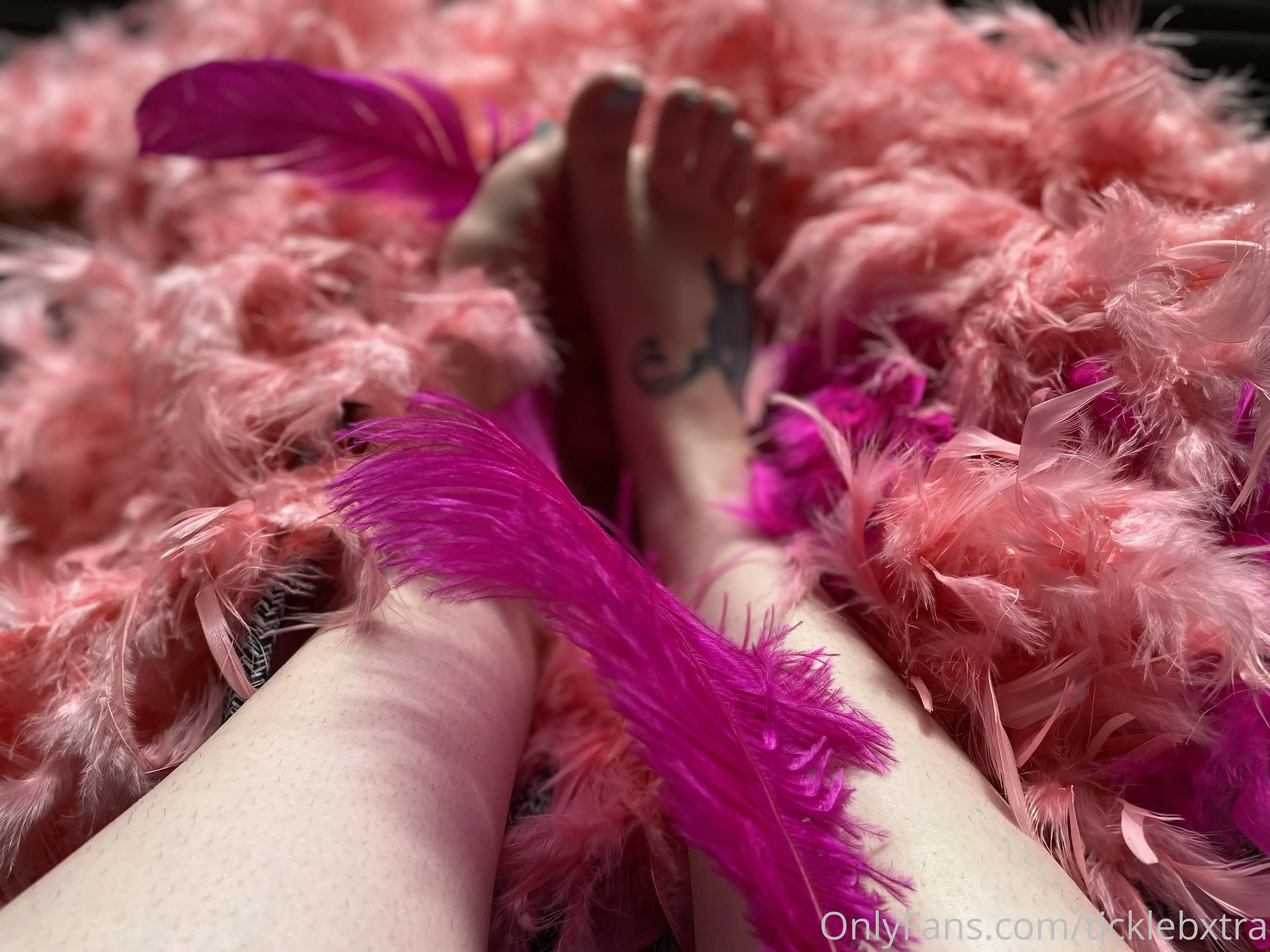 Tickle B Xtra OnlyFans exclusive photo 5 - ticklebxtra premium content