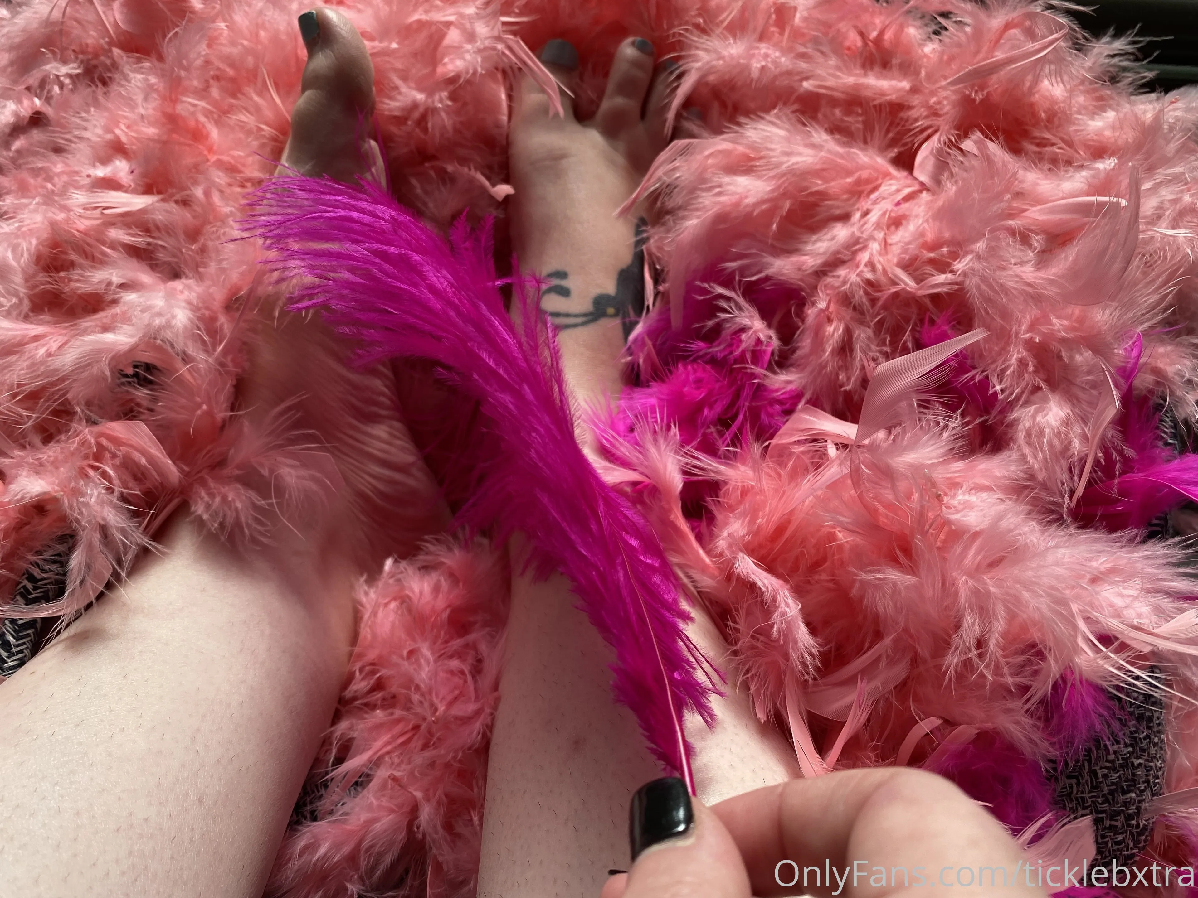 Tickle B Xtra OnlyFans exclusive photo 3 - ticklebxtra premium content