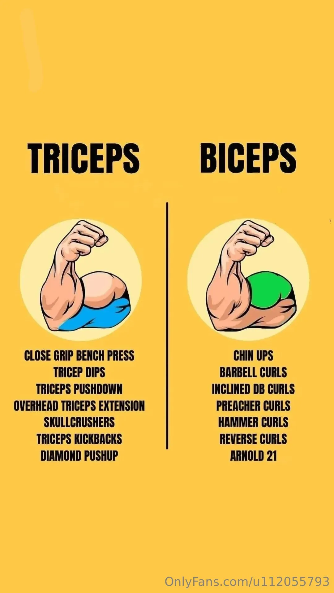 ABC Fitness OnlyFans exclusive photo 3 - u112055793 premium content