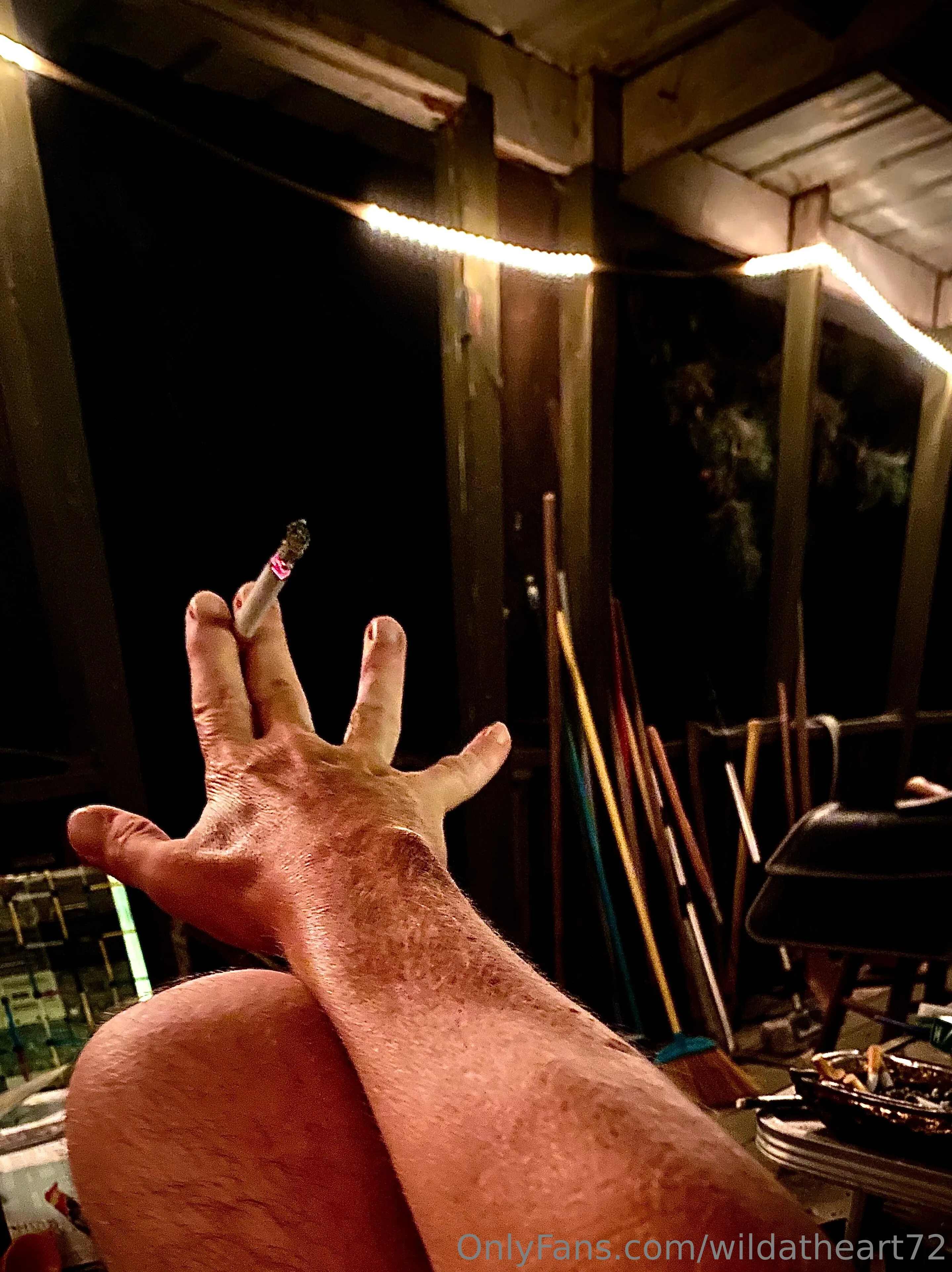 David OnlyFans exclusive photo 1 - wildatheart72 premium content