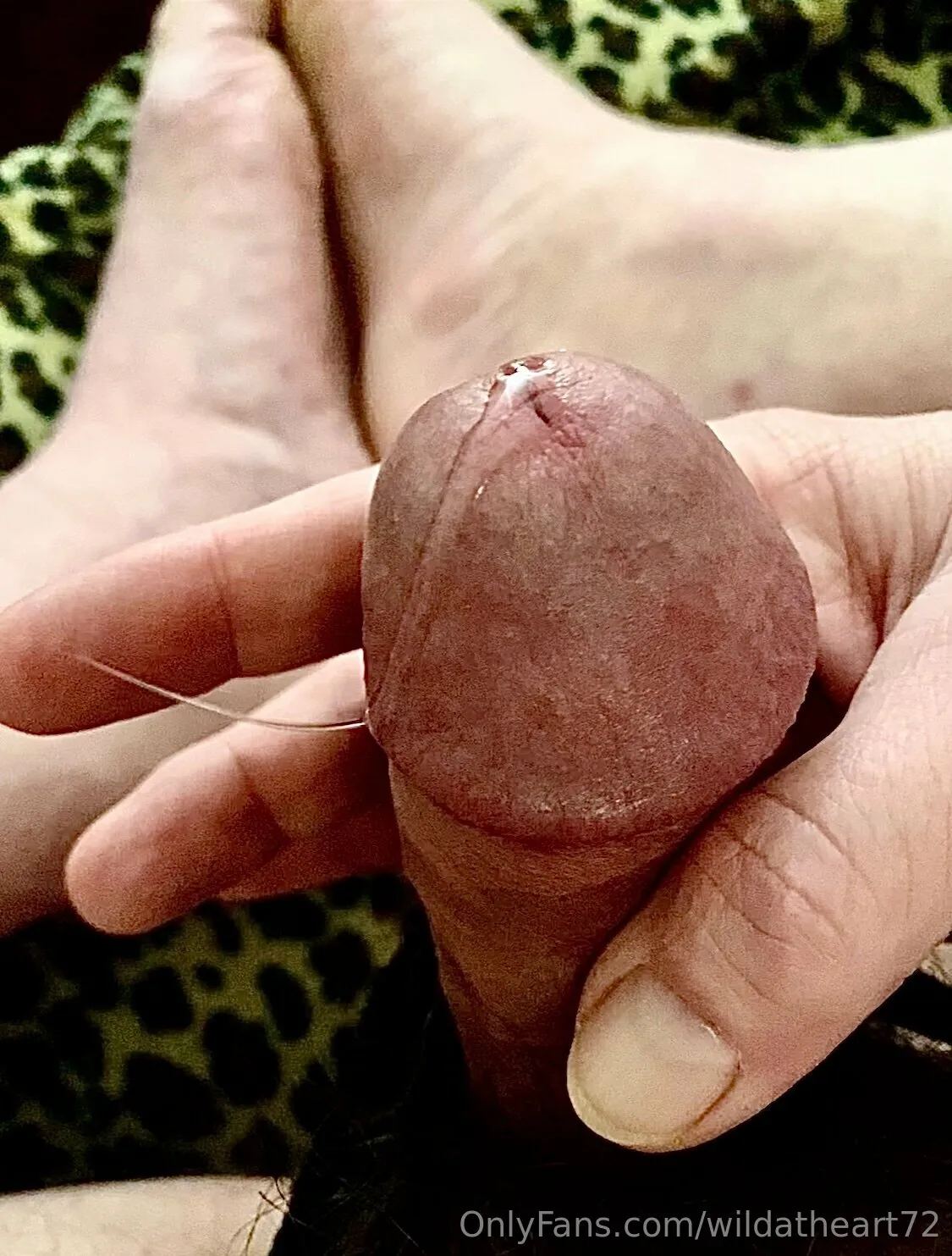 David OnlyFans exclusive photo 9 - wildatheart72 premium content