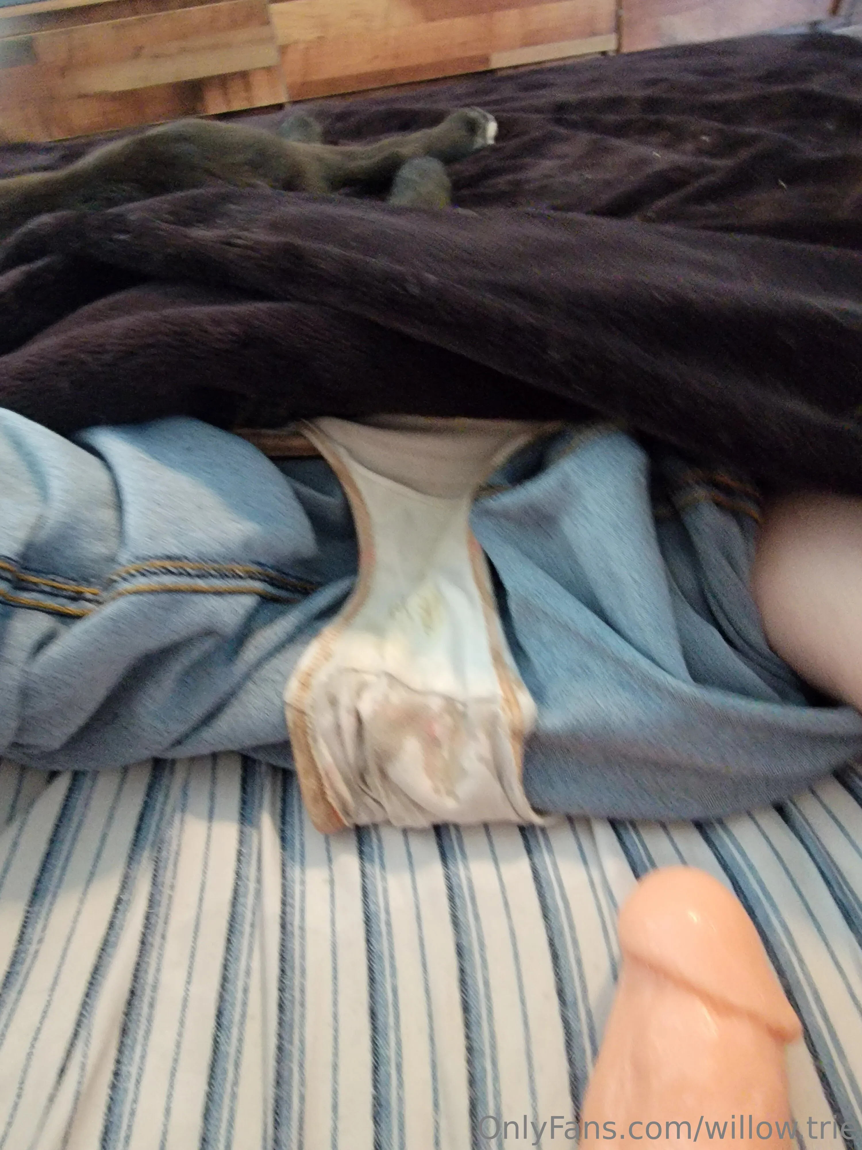 Willow Trie OnlyFans exclusive photo 33 - willow.trie premium content