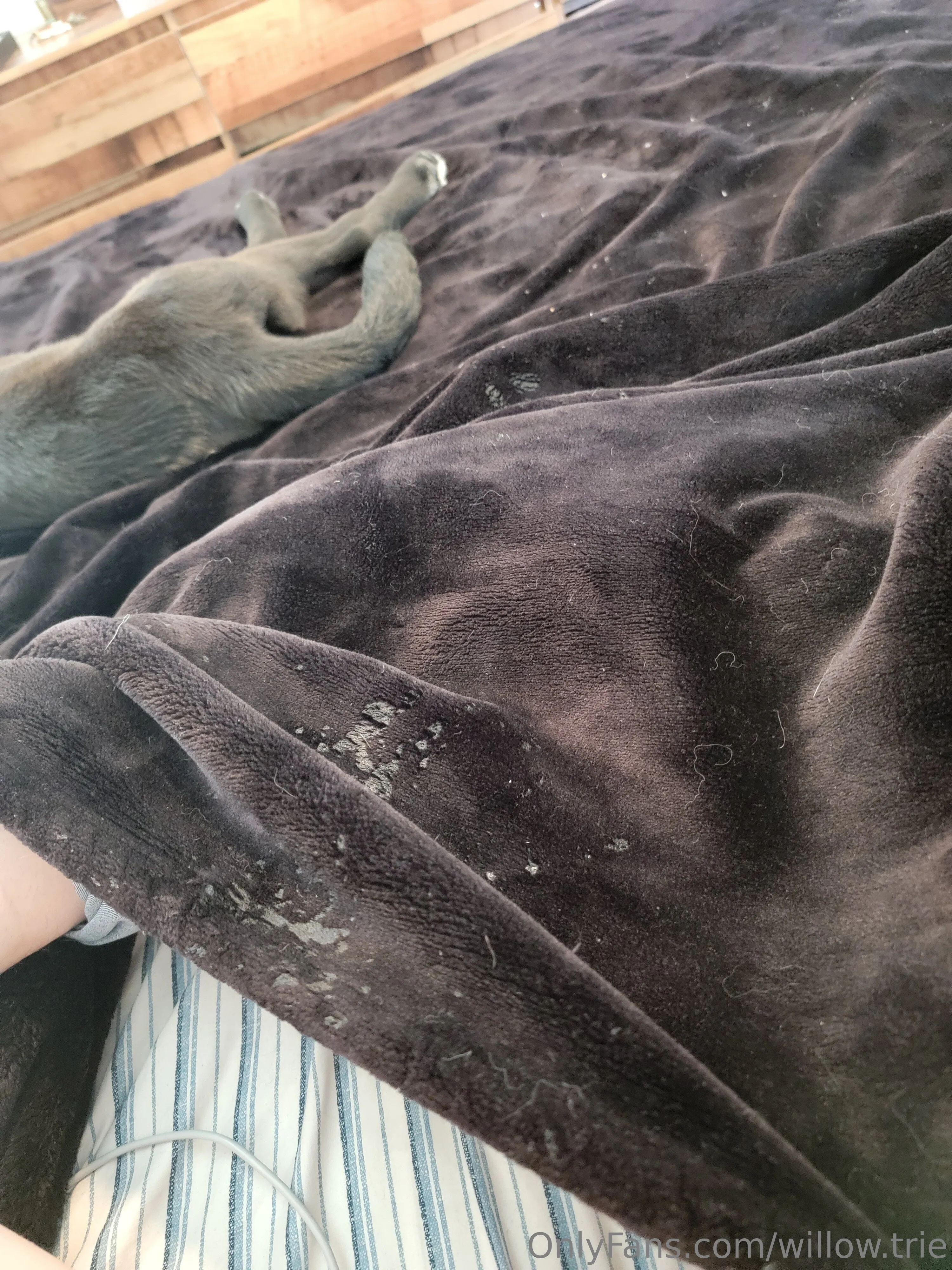 Willow Trie OnlyFans exclusive photo 32 - willow.trie premium content