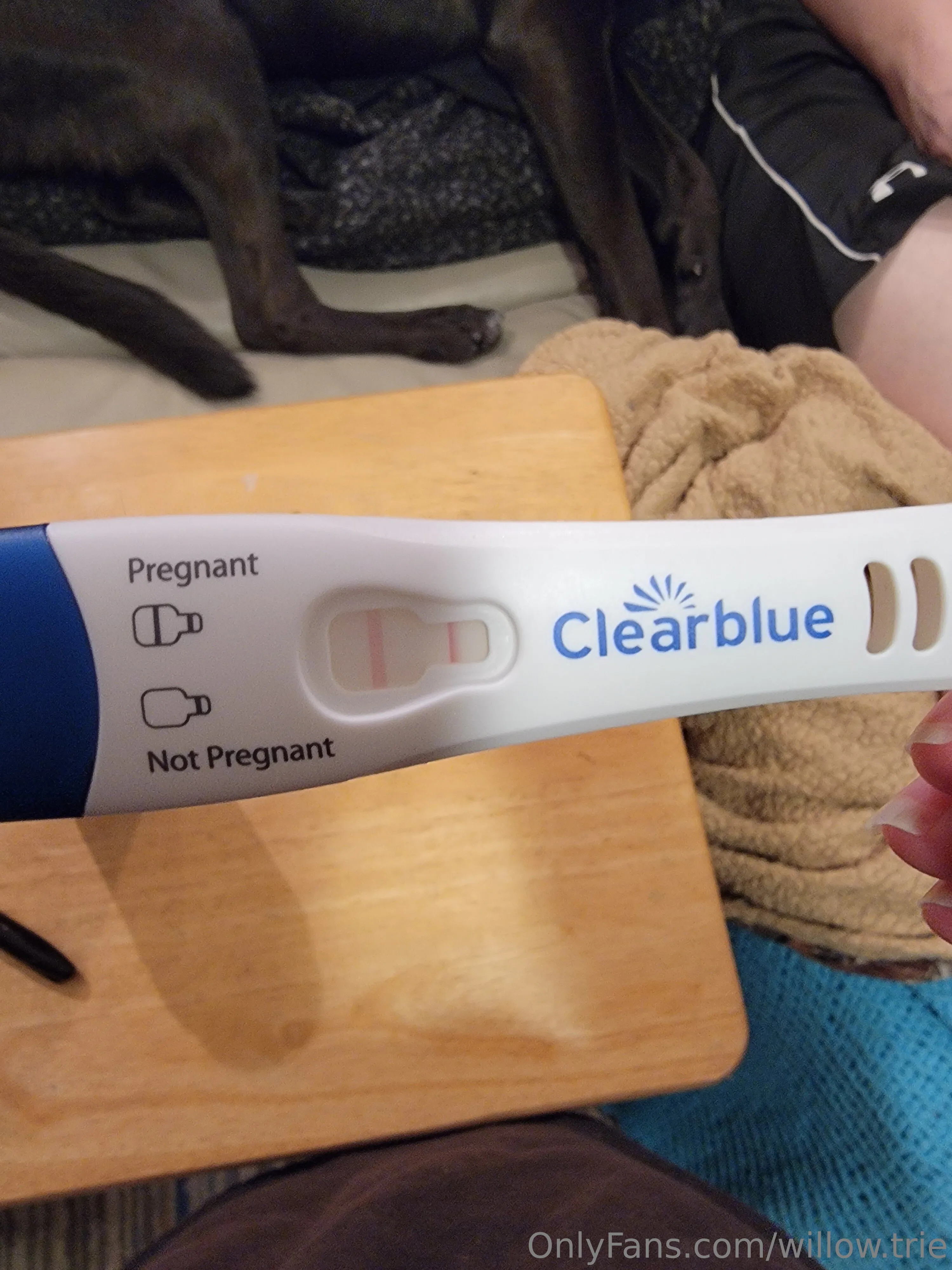 Willow Trie OnlyFans exclusive photo 3 - willow.trie premium content