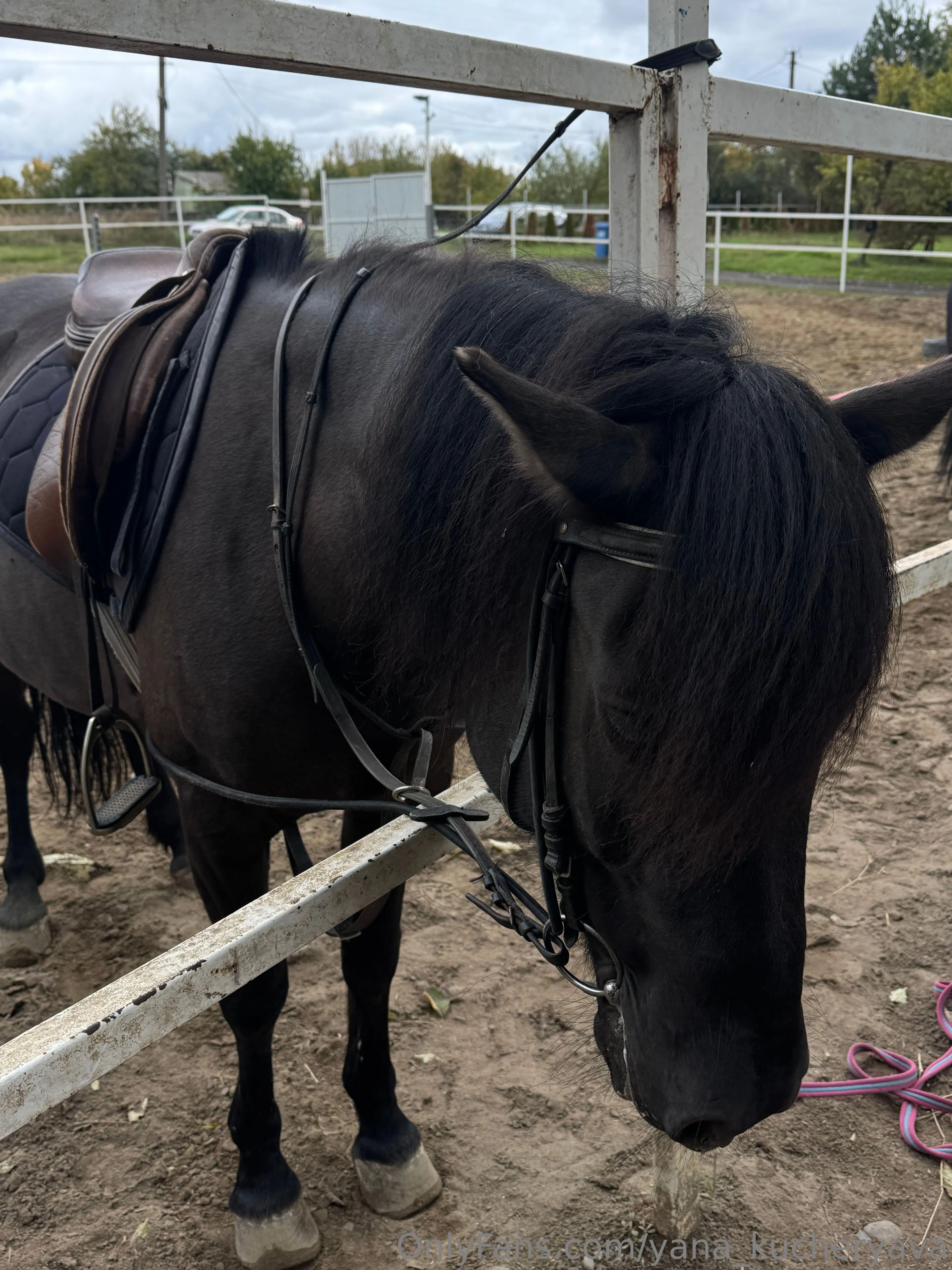 Yana Kucheryava OnlyFans exclusive photo 7 - yana_kucheryava premium content